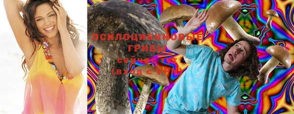 apvp Алексин