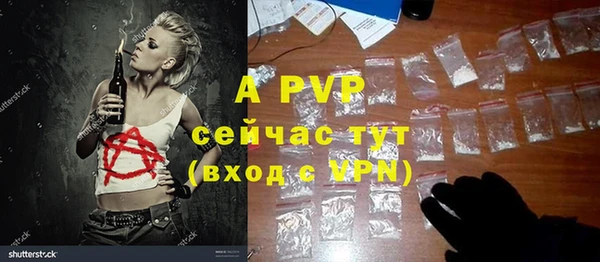 apvp Алексин