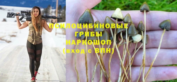 apvp Алексин