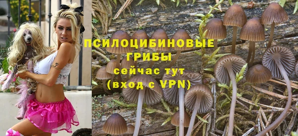 apvp Алексин