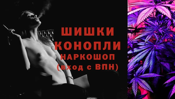 apvp Алексин