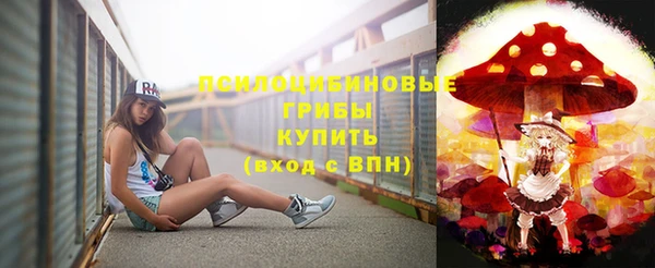 мяу мяу мука Алзамай